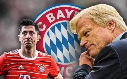 蓝狐军团 蓝狐军团