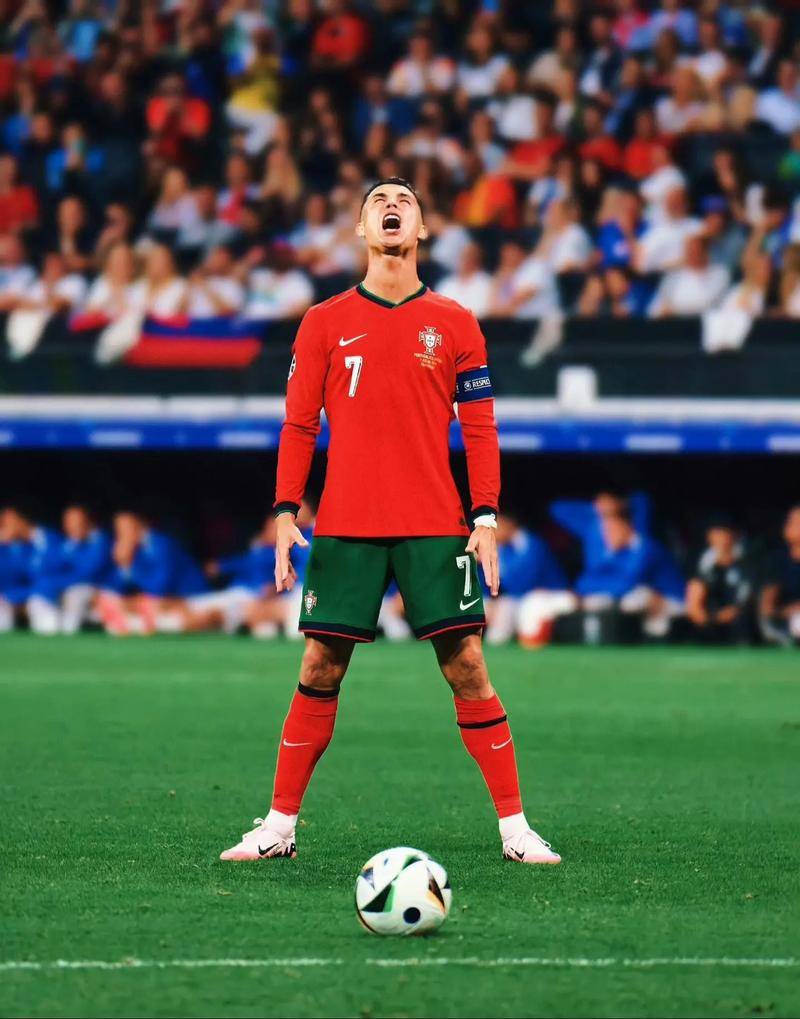 所关注的 所关注的